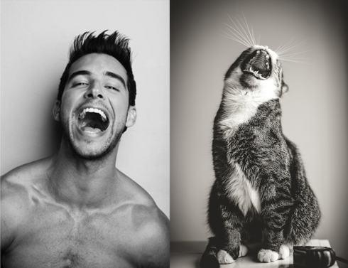 10 Hilarious Comparisons of Men And Cats in the Similar Poses!