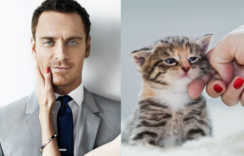 10 Hilarious Comparisons of Men And Cats in the Similar Poses!