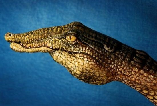 15 Truly Amazing Hand Drawings by Guido Daniele!