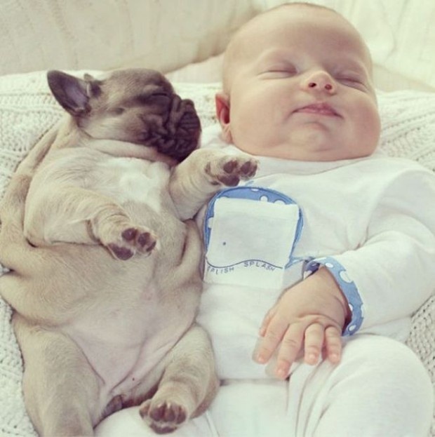 Dessert Time! 13 Incredibly Cute Photos of Babies And Puppies!