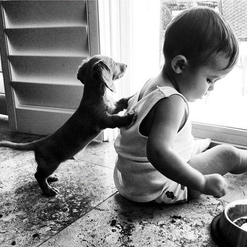 Dessert Time! 13 Incredibly Cute Photos of Babies And Puppies!