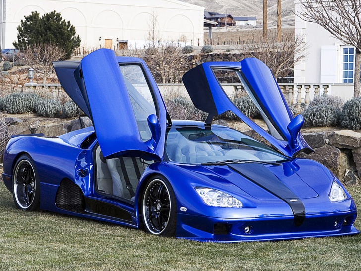 Top 10 Fastest Cars in 2013!