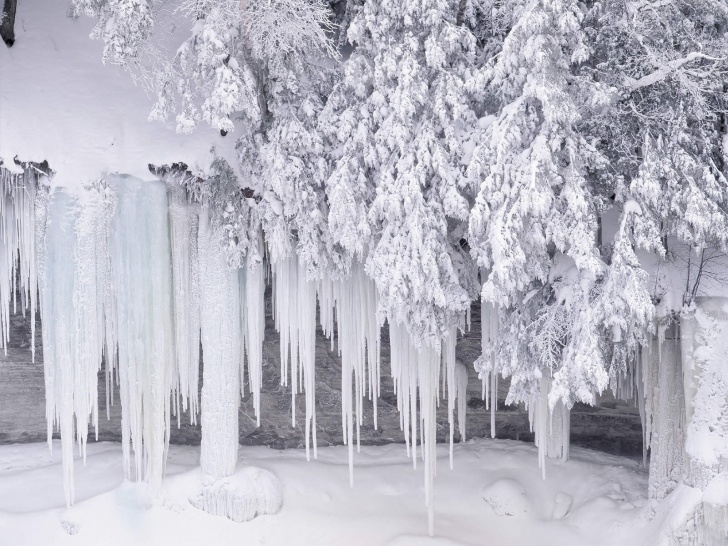 The 10 Most Amazing Photo of Frozen Winter!