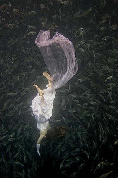10 Breathtaking Underwater Photographs