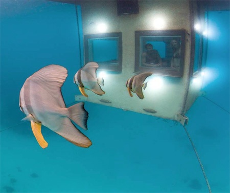 10 amazing Underwater Bedroom pictures!
