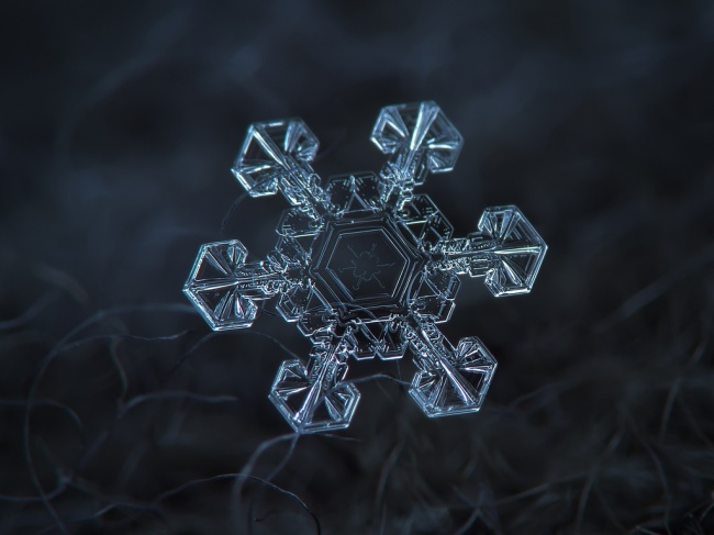 10 Amazing Macro Photography of Snowflakes!