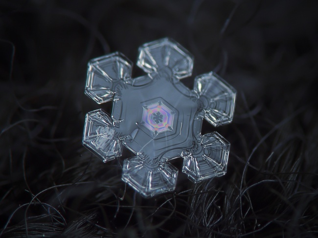 10 Amazing Macro Photography of Snowflakes!