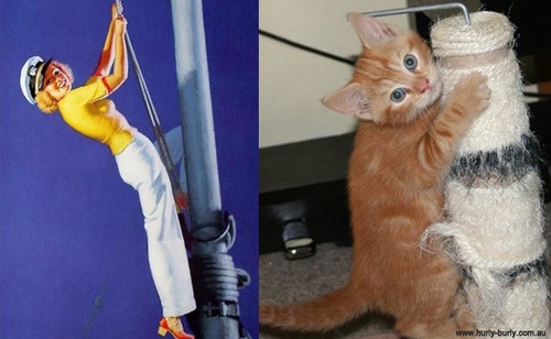 13 Hilarious Comparisons of Women And Cats in the Similar Poses!