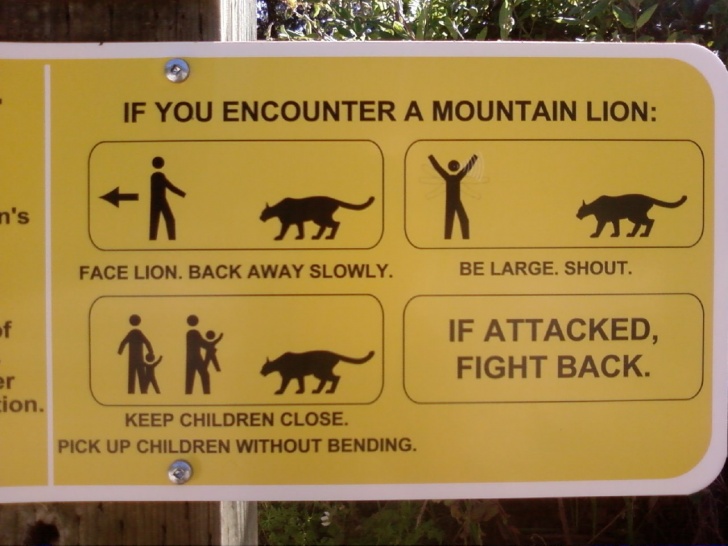 12 Funny Signs at Zoo!