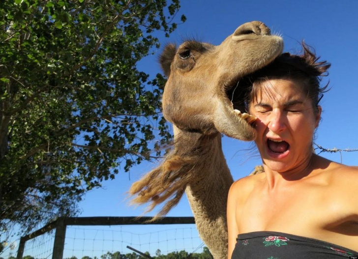 11 Hilarious Selfies That Will Crack You Up!