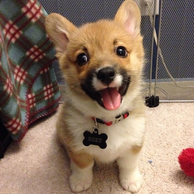 20 Most Cutest Instagram Pics Ever!
