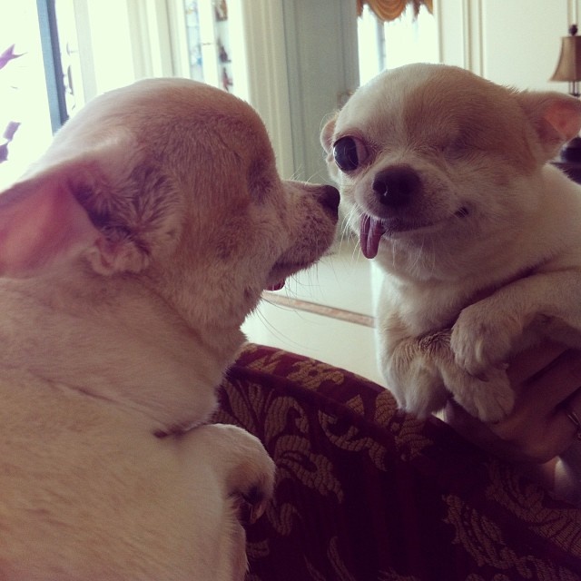 20 Most Cutest Instagram Pics Ever!