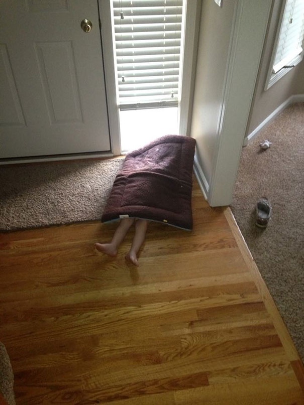 11 Best Funny Examples of Hide-and-Seek from True Professionals!