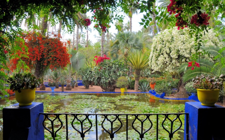 World’s Most Popular and Beautiful Gardens. 11 Pictures!
