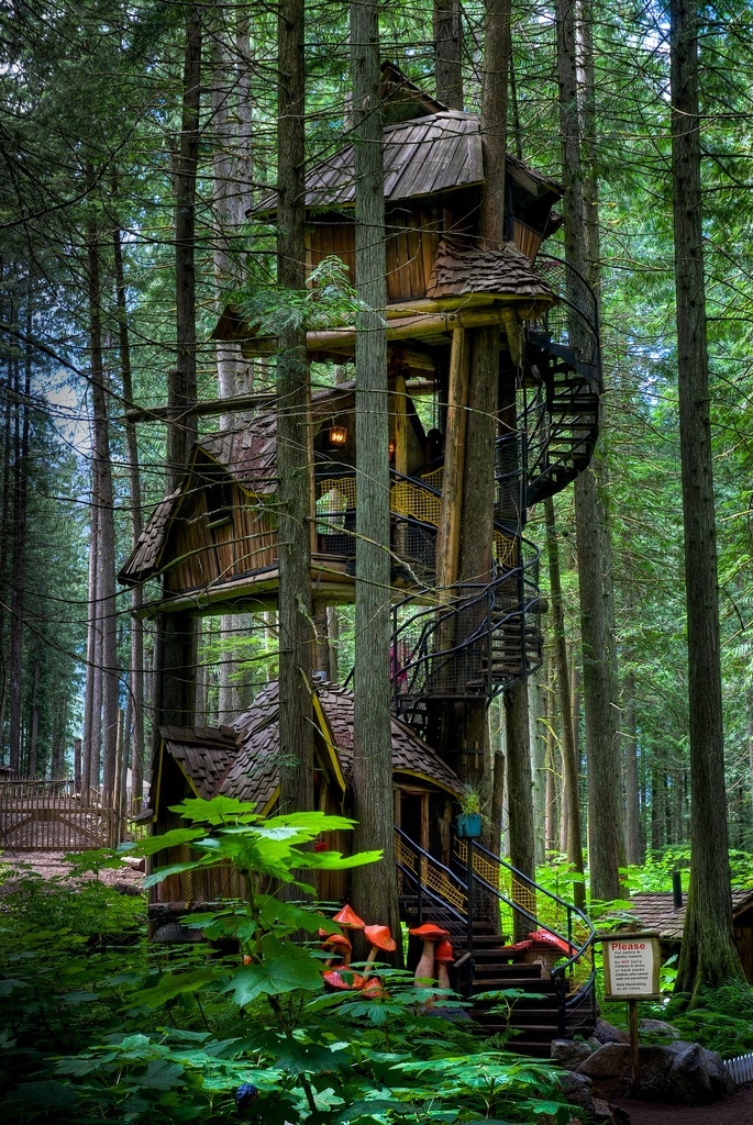 11 Most Amazing Tree Houses Around The World!