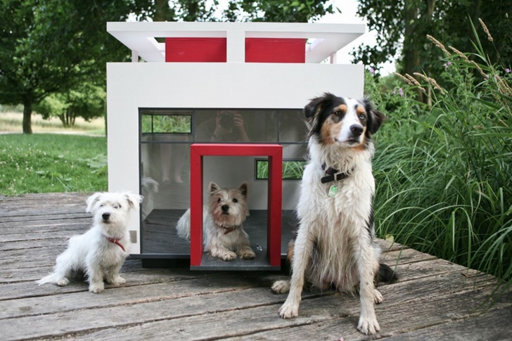 10 Most Luxurious Dog Houses And Beds!