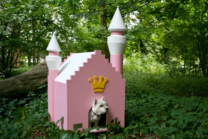 10 Most Luxurious Dog Houses And Beds!