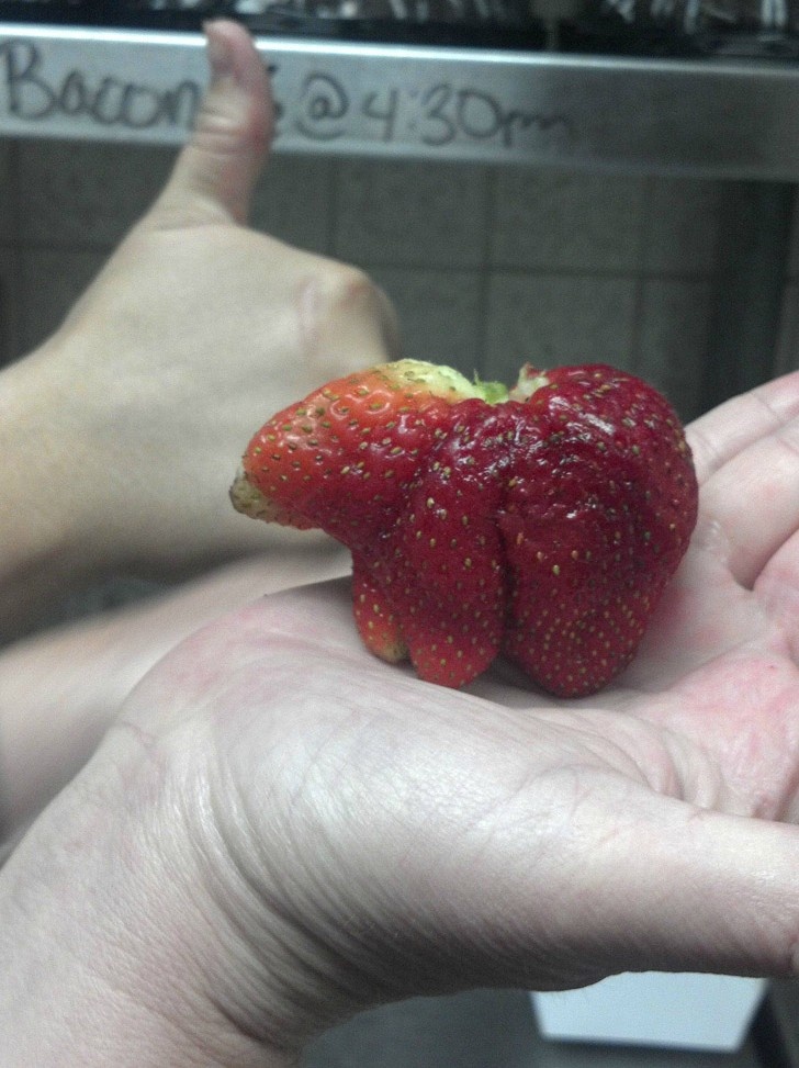 15 Most Interesting Examples of Funny-Shaped Fruits And Vegetables!