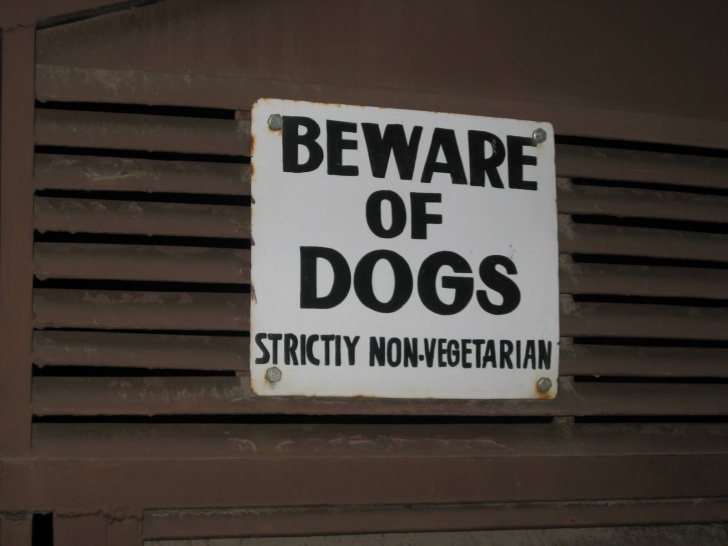 10 Really Funny Beware of Dog Signs!