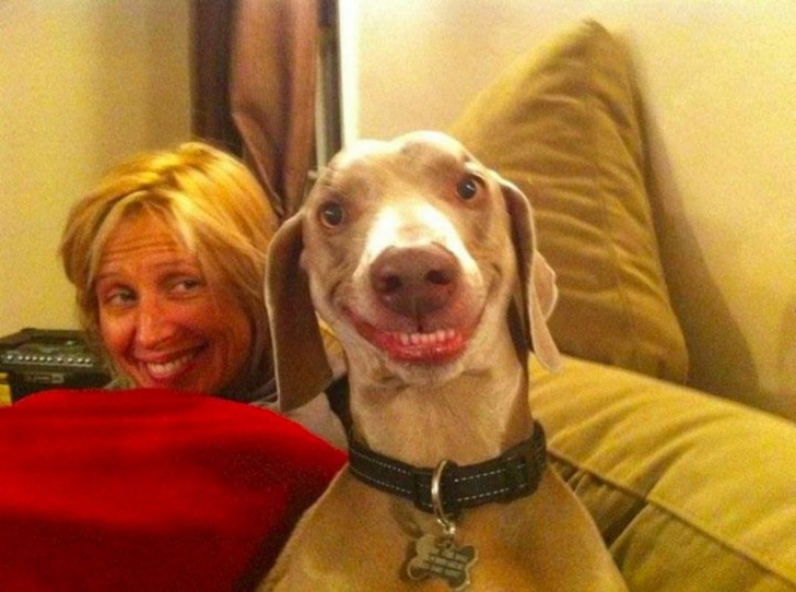That Awkward Moment Will Make You Laugh! 14 Pics!