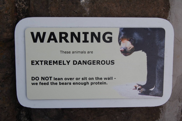 Don’t Feed Yourself to a Bear | 12 Funny Signs at Zoo!
